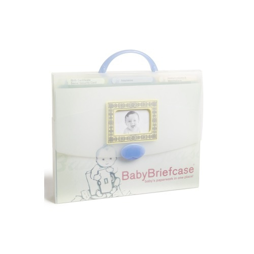 BabyBriefcase® Document Organizer, None