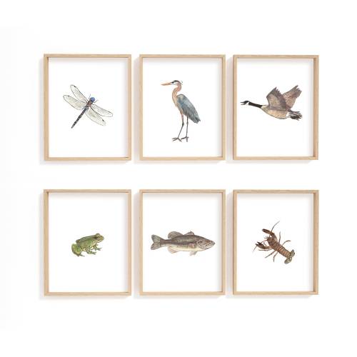 Lake house wall decor, lake life print, wilderness print set, nursery wall art, heron, Canada goose, dragonfly, frog, bass, fish, crayfish