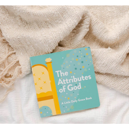 Attributes of God Kids Board Book – The Daily Grace Co.