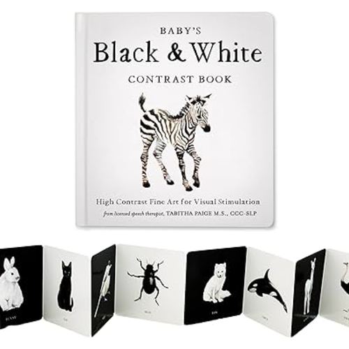 Baby's Black and White Contrast Book: High-Contrast Art for Visual Stimulation at Tummy Time (Tabitha Paige Children's Book Series)