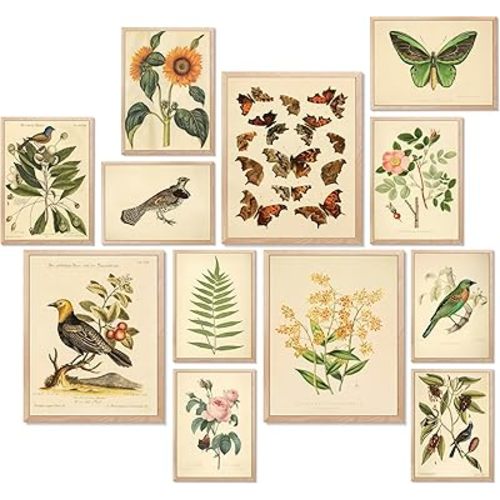 LANCHI95 12 Pcs Vintage Botanical Wall Art, Butterfly & Bird Art, Sunflower & Fern Prints, Boho Floral Botanical Decor Perfect for Living Room (Unframed)