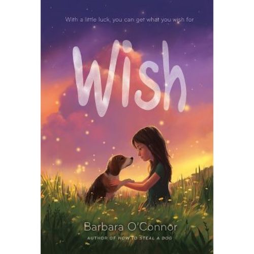 Wish - By Barbara O'connor (paperback)