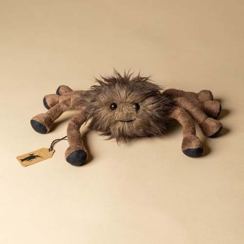 Little Wiley Spider
