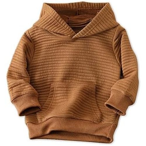 PATPAT Toddler Hoodies Boy's Hooded Sweatshirt with Pocket Solid Color Pullover Hoodies for Toddler Girl