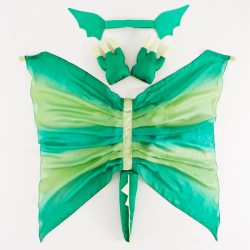 Complete Green Dinosaur Dress-up Set – Sarah's Silks