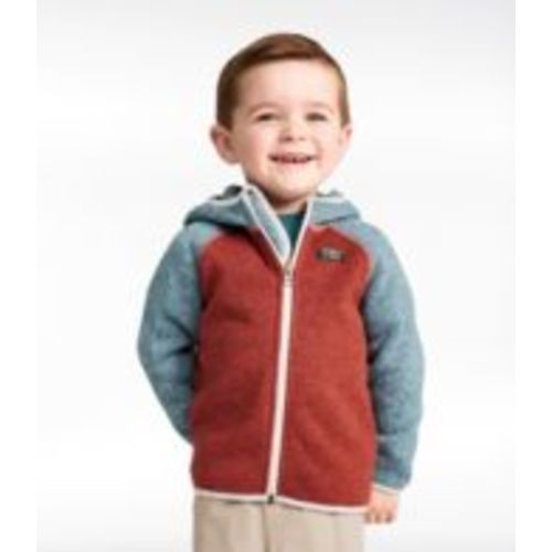 Infants' and Toddlers' L.L.Bean Sweater Fleece, Hooded Colorblock