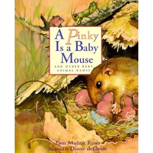 A Pinky is a Baby Mouse: And Other Baby Animal Names