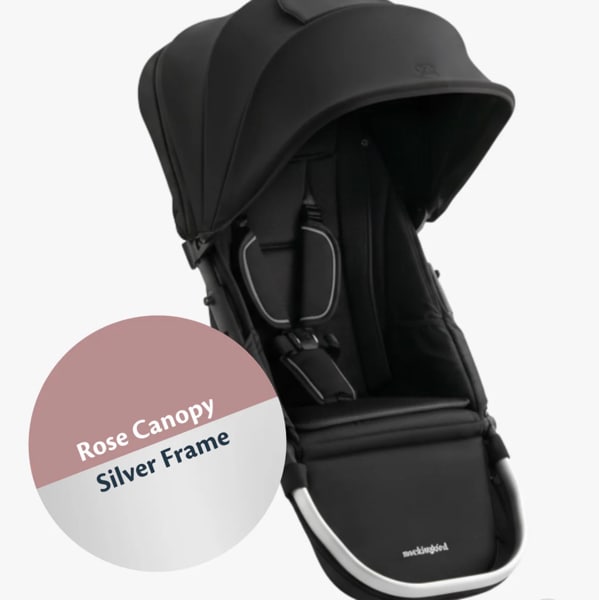 Stroller Seat with Canopy 3.0