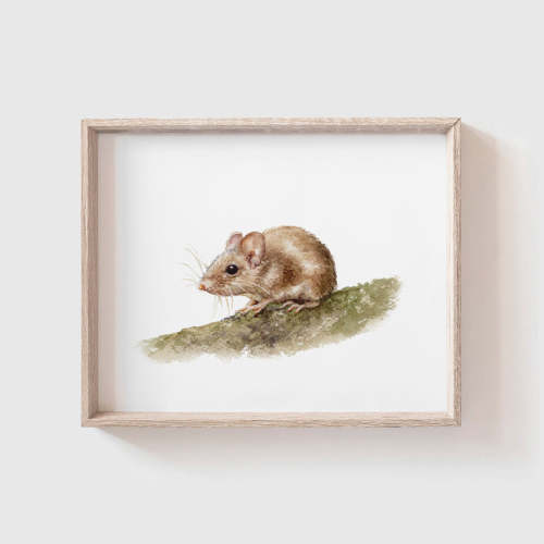 Mouse Art Print, 8x10