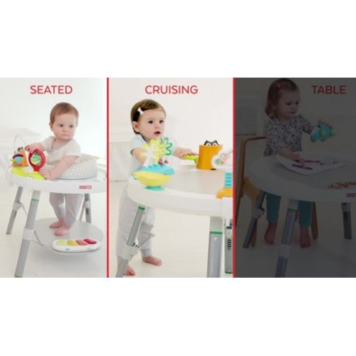 Skip Hop Explore & More Baby's View 3- Stage Activity Center