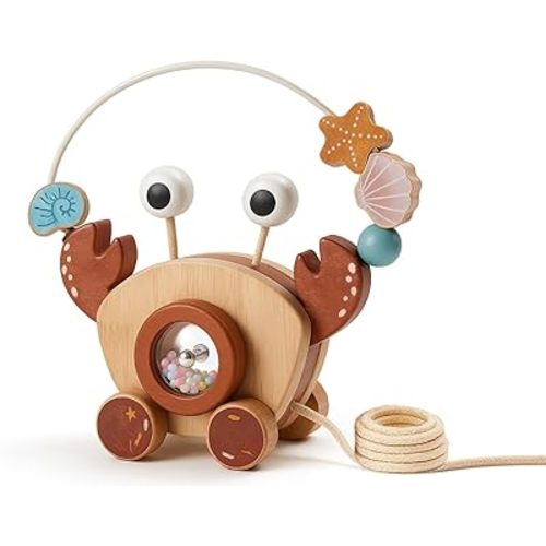 Pull-Along Walking Toys for Babies 12 Months +,4 in 1 Push and Pull Toy for Toddlers Aged 1-2 and 3-4 Years Old, Wooden Baby Toys, Montessori Early Development Sensory Toy
