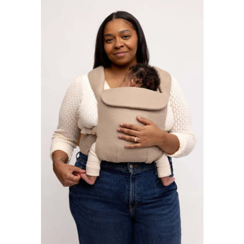 Desert Lark - Aerial Carrier – WildBird