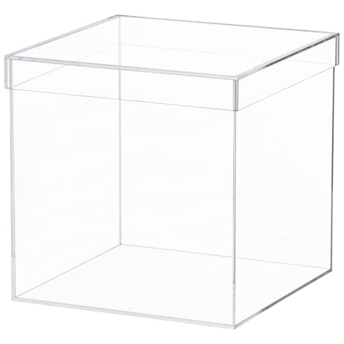 Dayaanee Clear Acrylic Box with Lid, Clear Acrylic Plastic Square Cube Containers Storage Box 7.9x7.9x7.9 Inches/200X200X200mm for Candy Pill and Tiny Jewelry Home and Outdoor