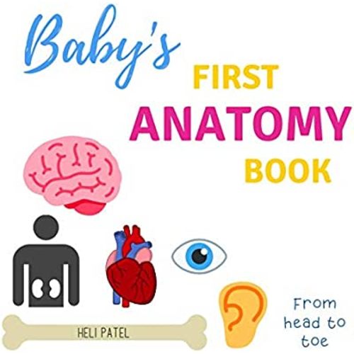 Baby's First Anatomy Book