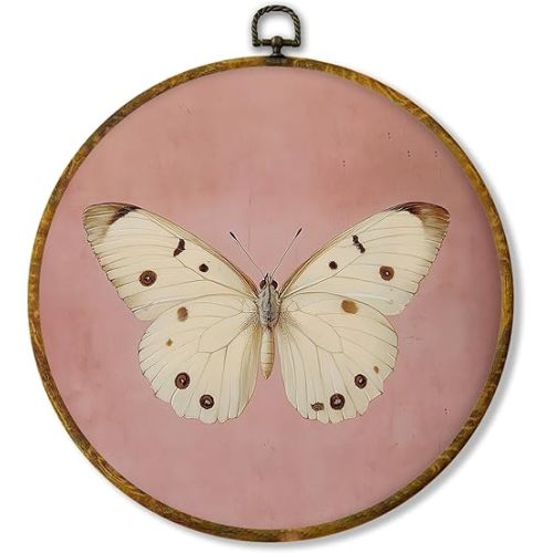 shiviody Neutral Butterfly Canvas Wall Art Decor, Butterfly Nursery Decor, Inspirational Aesthetic Nature Insect Round Hanging Frame Prints Decorations for Home Farmhouse Bathroom 10"x10"