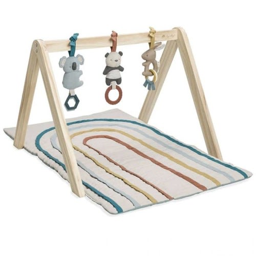 Ritzy Activity Gym with Play Mat + Toys