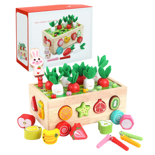 Montessori Garden Shape Sorter