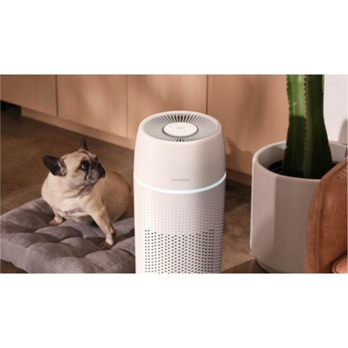 TotalClean 4-in-1 Small Room Air Purifier - Homedics