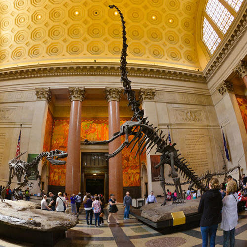 Gift a Membership: American Museum of Natural History (Adult Membership)