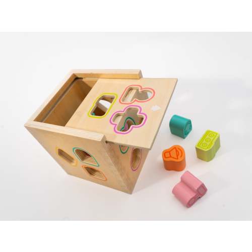 Shape Sorter Toy