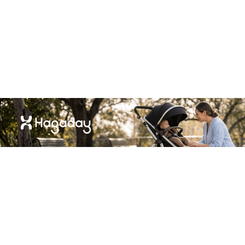 Amazon.com: HAGADAY