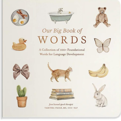 Our Big Book of First Words: A Collection of 100+ Foundational Words for Language Development (Our Little Adventures Series)