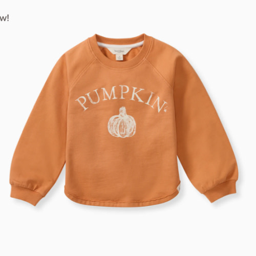 Pumpkin Organic Cotton Sweatshirt – Burt's Bees Baby