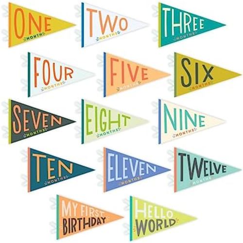 Lucy Darling Petit Milestone Pennants – 12 Felt Baby Monthly Banners for Boy or Girl – Photo Props, Nursery Decor, Felt Flag Set – Keepsake Gift for Newborn & Baby (multi-colored Little Kaleidoscope)