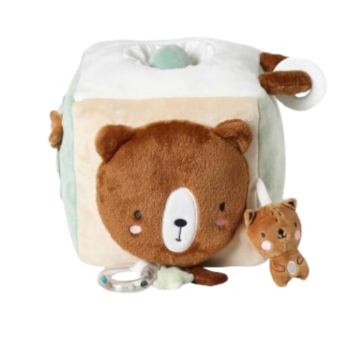 Large Activity Cube in Green Forest