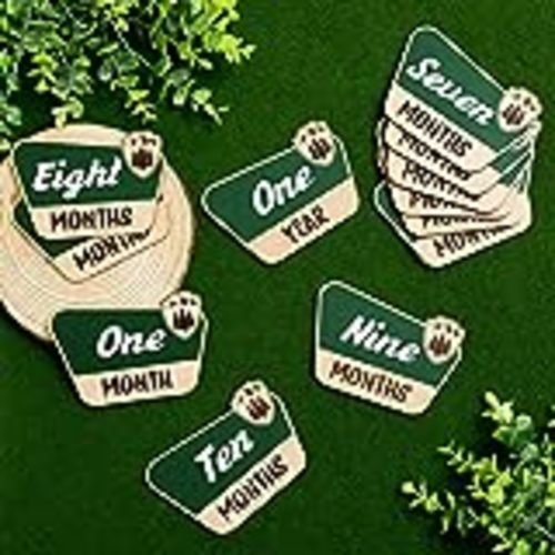 Amazon.com: Baby Monthly Milestone Markers - Mountain Baby's First Year,Wood Baby Milestone Markers,Baby Monthly Photo Prop,Wooden Newborn Baby Shower : Electronics