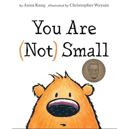 You Are Not Small