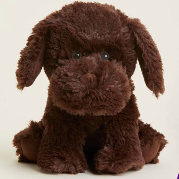 Chocolate Labrador Warmies | Microwavable Chocolate Labrador Warmies Stuffed Animal | Warmies USA