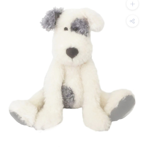 Shaggy Dog