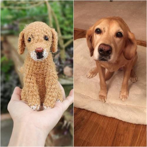 Custom Stuffed Dog, Custom Stuffed Animal, Custom Dog Plush, Custom Pet Plush, Personalized Dog Gift, Pet Memorial Plush, Dog Replica