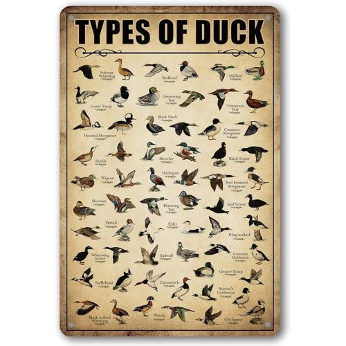 Type Of Duck Tin Sign Duck Hunting Decor Mallard Ducks Knowledge Metal Signs Vintage Duck Hunting Decorations For Home Kitchen Bathroom Duck Wall Art Decor Poster 8 x 12 Inch (Duck)
