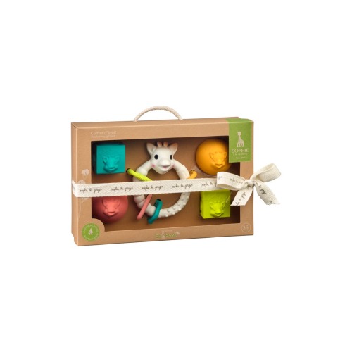 Early Learning Gift Playset