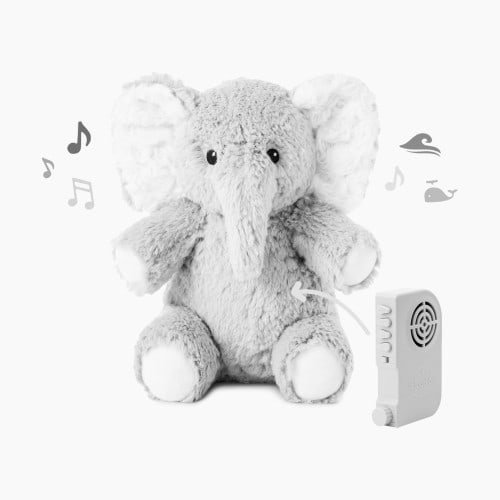 Cloud B Eli the Elephant