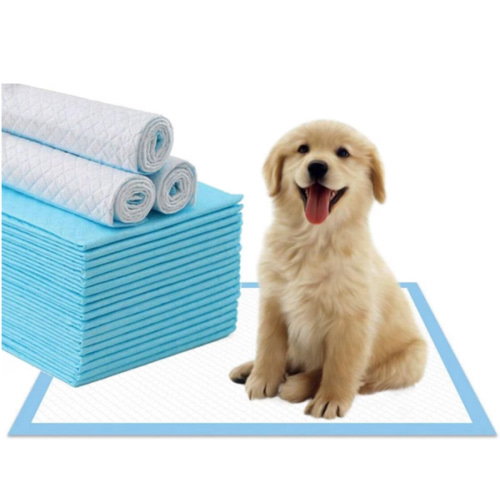 MR. PEANUT'S Premium Absorbent Gel Dog & Cat Pee Pads, 40 count - Chewy.com