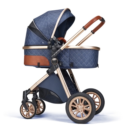 PASSING LOVE Convertible Newborn Infant Toddler Stroller, Travel Carrier, Reversible Facing Seat, Blue