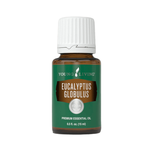 Young Living Eucalyptus Globulus Essential Oil - 15ml
