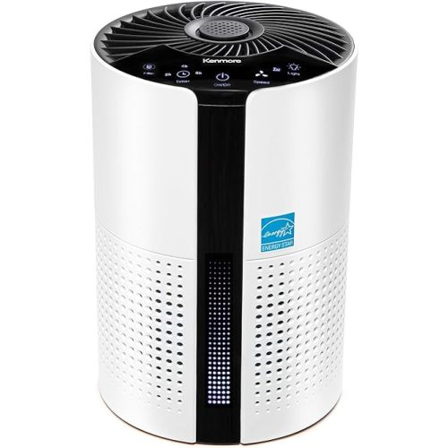 Kenmore PM1010 Air Purifiers for Bedroom Up to 348 Sq.Foot with H13 True HEPA Filter, Child Lock, Sleep Mode for Small Rooms