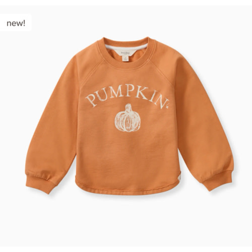 Pumpkin Organic Cotton Sweatshirt – Burt's Bees Baby