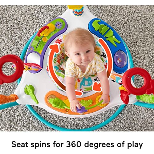 Fisher-Price Baby Bouncer Animal Activity Jumperoo With Music Lights Sounds And Developmental Toys For Infants - Animal Activity-Blue - Animal Print