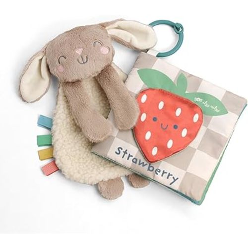 Itzy Ritzy Gift Set - Learn & Snuggle Gift Set Includes Bunny Lovey and Soft Crinkle Book