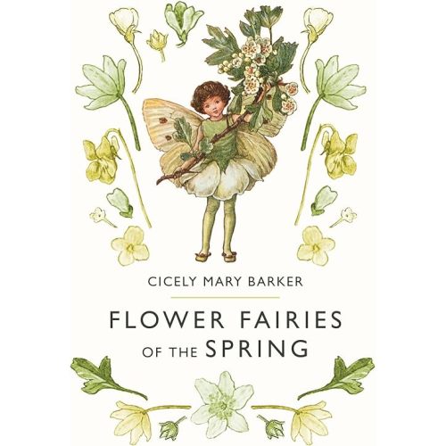 Flower Fairies of the Spring Hardcover – May 1, 1991