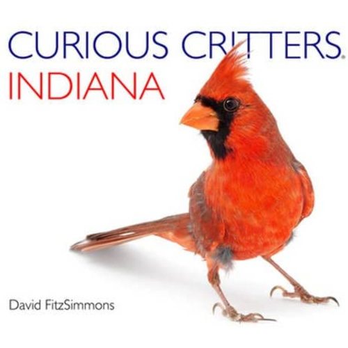 Curious Critters Indiana (Curious Critters Board Books)