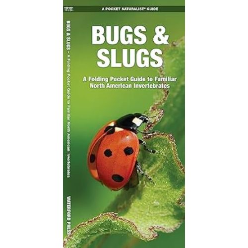 Bugs & Slugs: A Folding Pocket Guide to Familiar North American Invertebrates