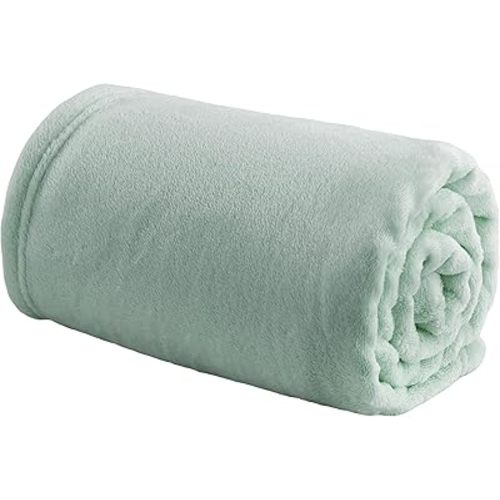 Bedsure Bedding Fleece Blanket for Girls and Boys - Soft Cozy Cute Small Throw Blankets for Travel, 43x55 Inches, Sage Green