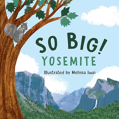 So Big! Yosemite Hardcover – Illustrated, August 7, 2017
