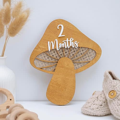 Baby Monthly Milestone, Wooden Baby Milestone Signs, Monthly Milestone Wood Discs, Baby Milestone Discs (3D Mushroom)